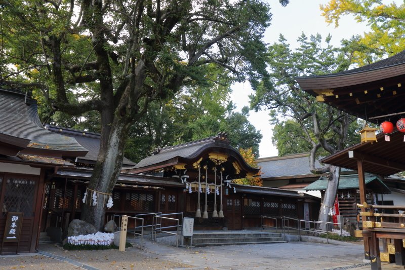 「いのしし神社」として知られる「護王神社」