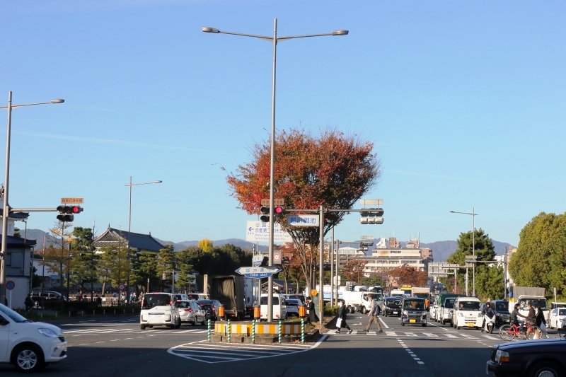 「二条城」へつながる堀川通沿い、京都中心地の華やぎを享受する中京区堀川三条エリア